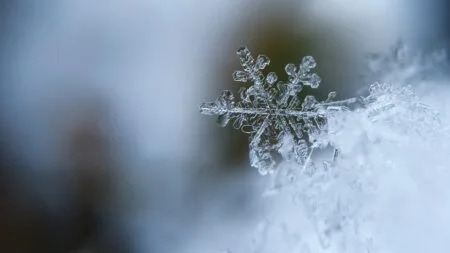 Winter Wellness: Supporting Your Team’s Productivity and Wellbeing